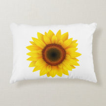 Wonder Accent Pillow